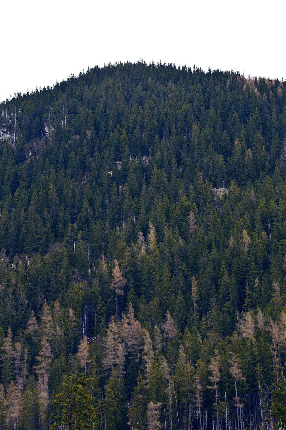 Mountain Landscape